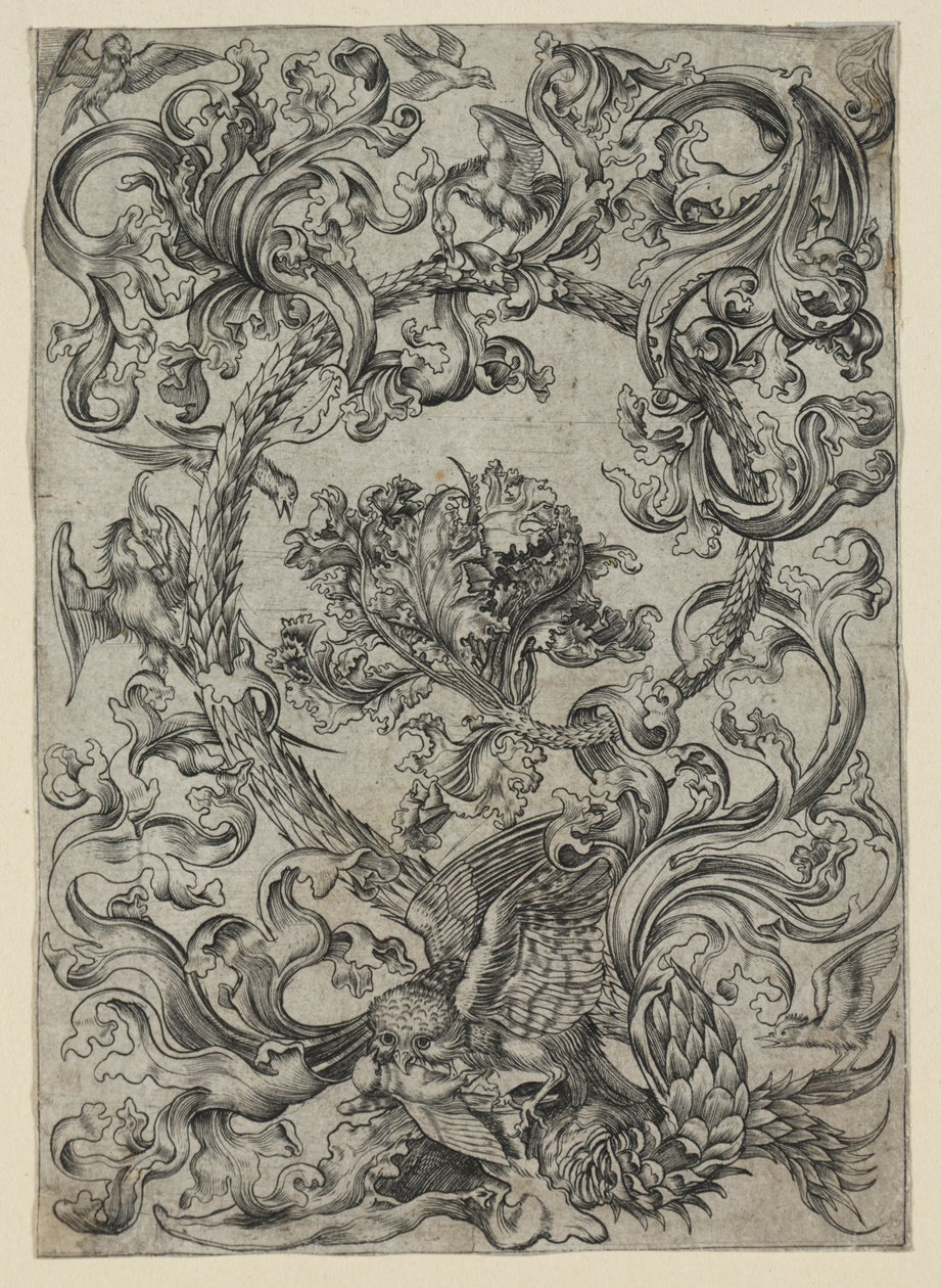 Feuillage ornemental, avec une chouette et d