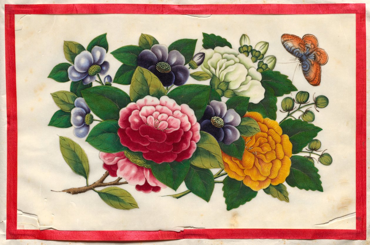 Troisième peinture du Livre illustré des fleurs et des papillons - Unknown artist
