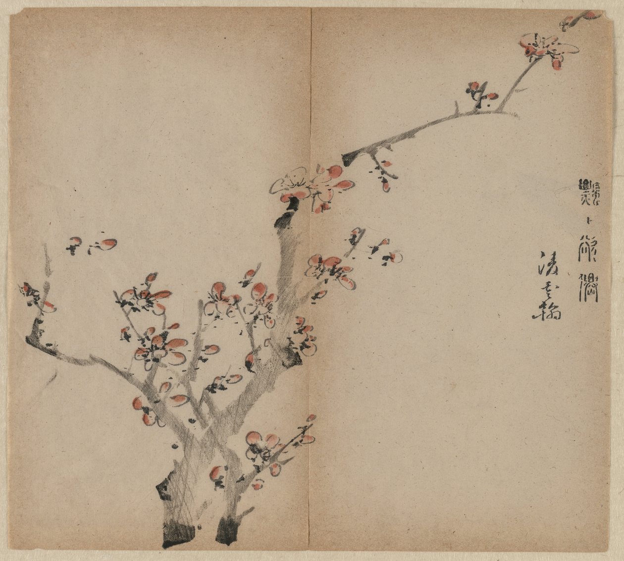 Fleurs de pêcher - Unknown artist