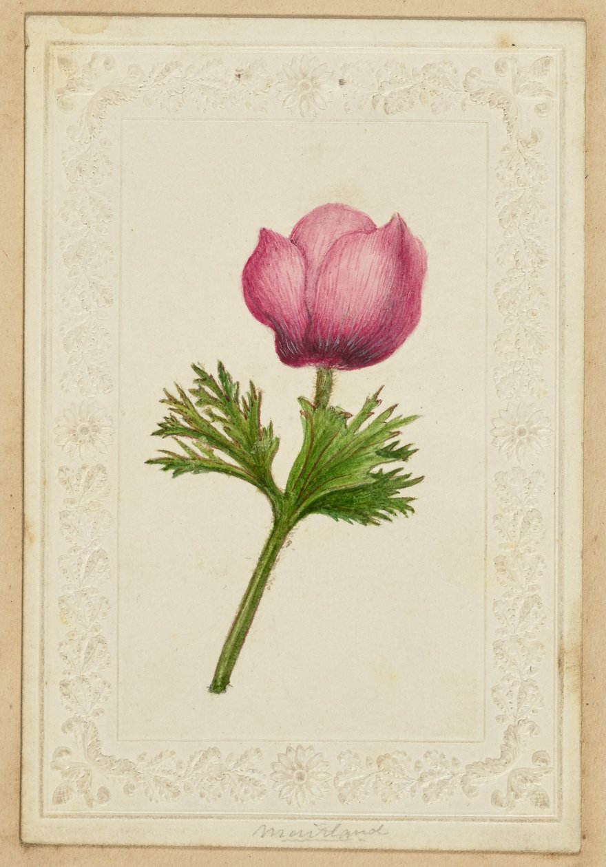 [Carte de notes à fleurs roses] - Unknown artist