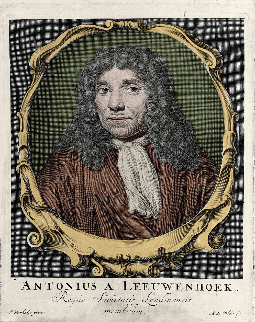 Portrait d