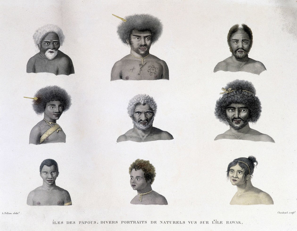 Portraits des Papous de l