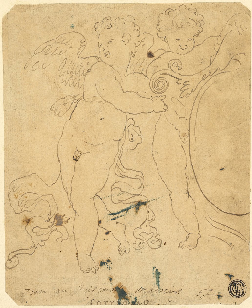 Putti avec bouclier - Unknown artist