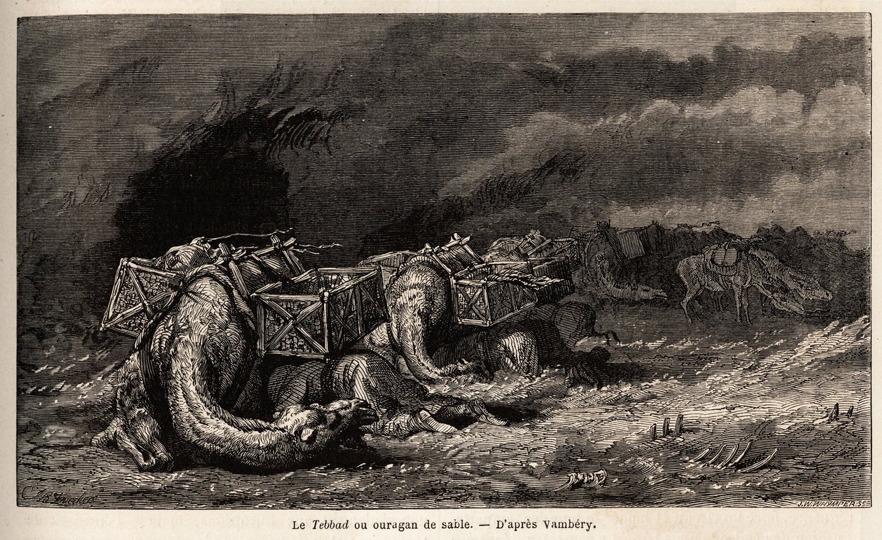 La caravane de chameaux prise dans un ouragan de sable appelé tebbad. Dessin d
