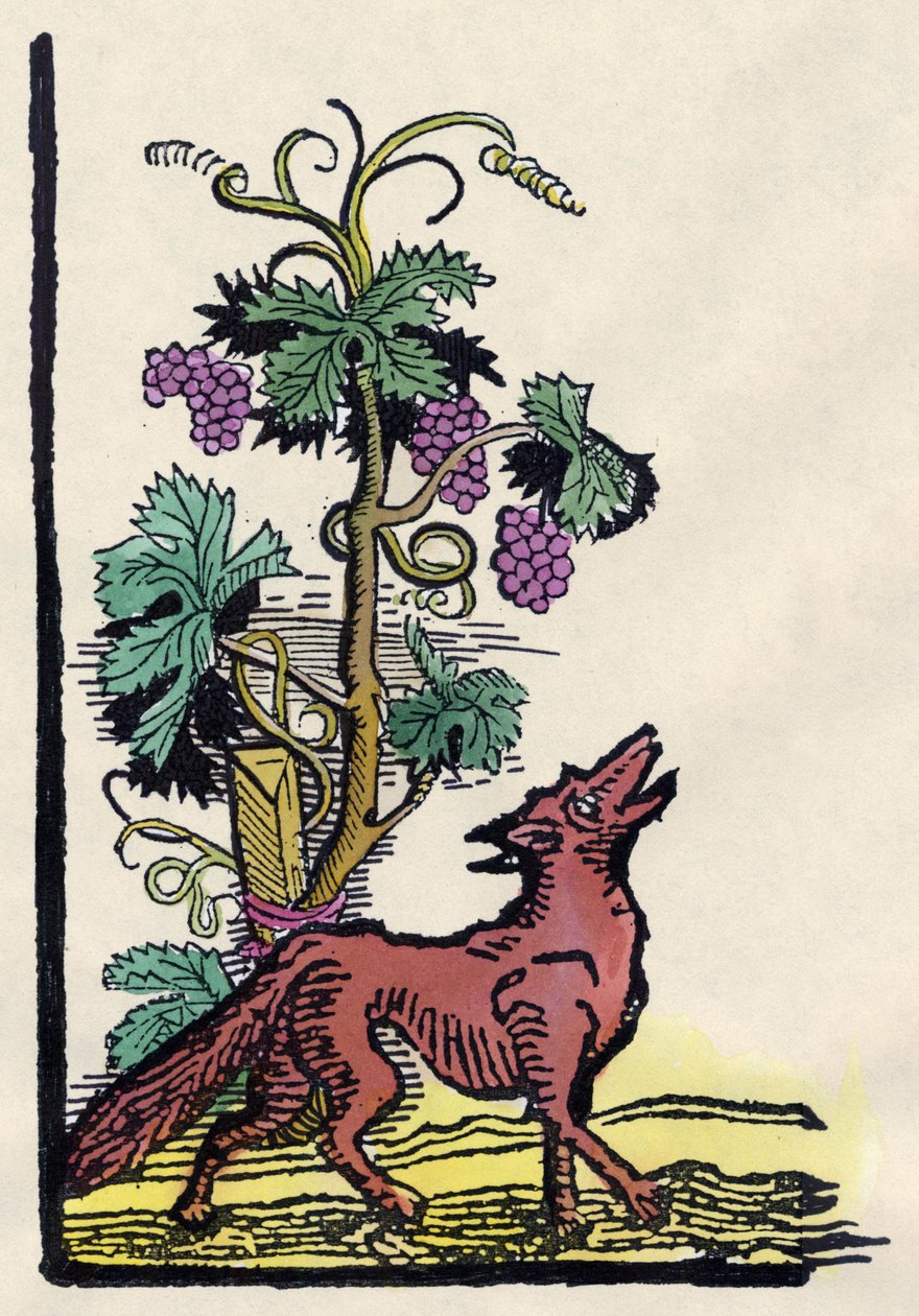 Le renard et les raisins. Fable d