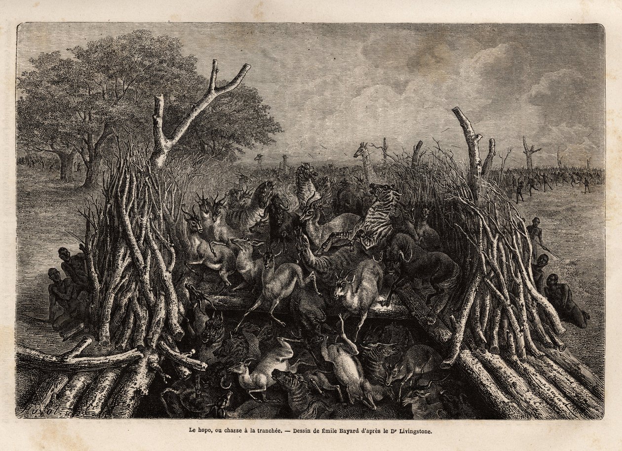 La technique de chasse hopo dans la tranchée - Unknown artist