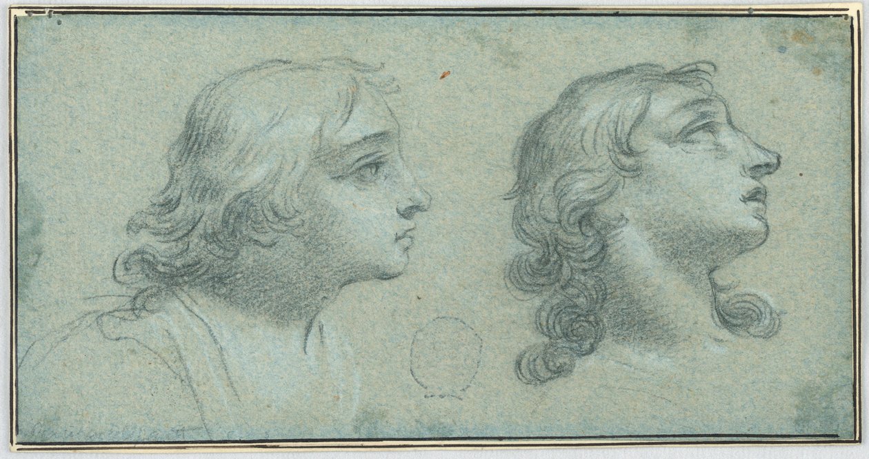 Deux vues de la tête d