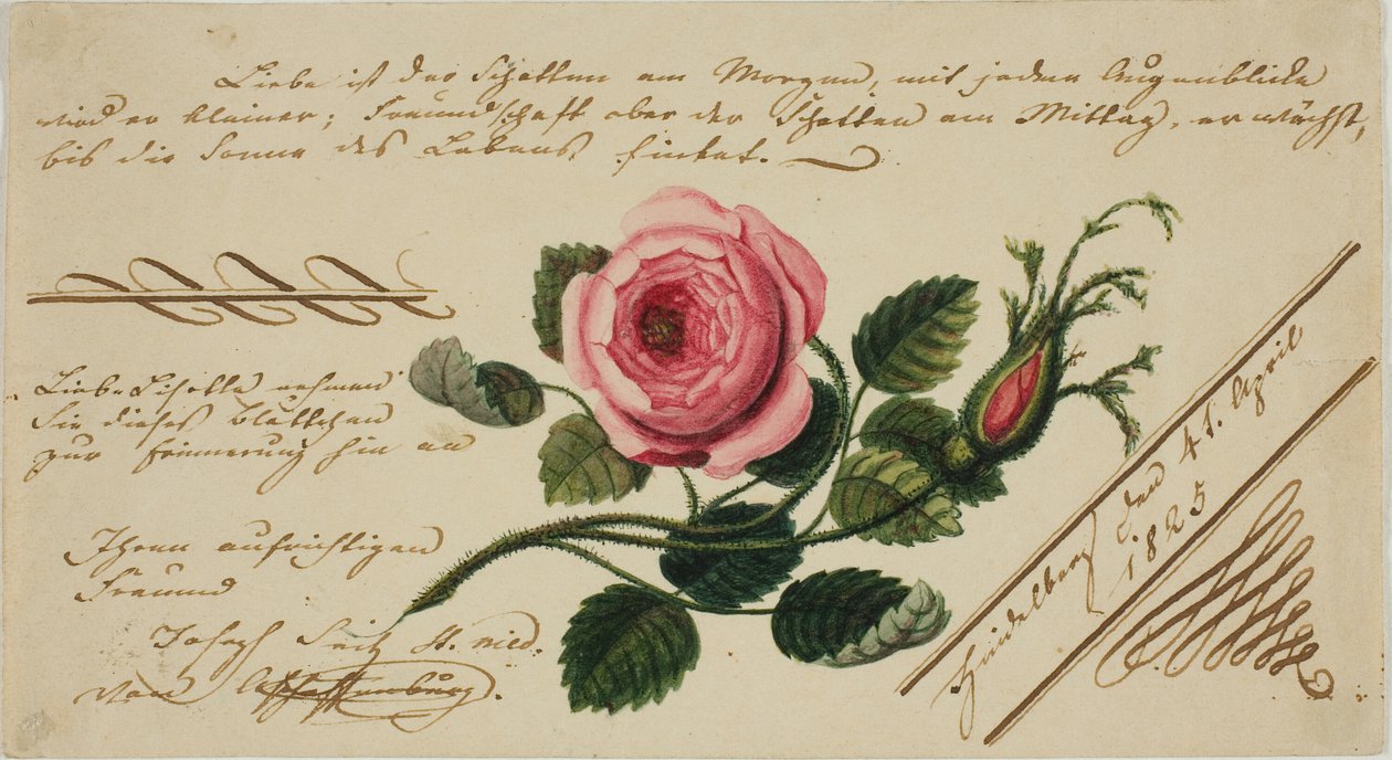 Valentin sans titre (Fleur rose) - Unknown artist