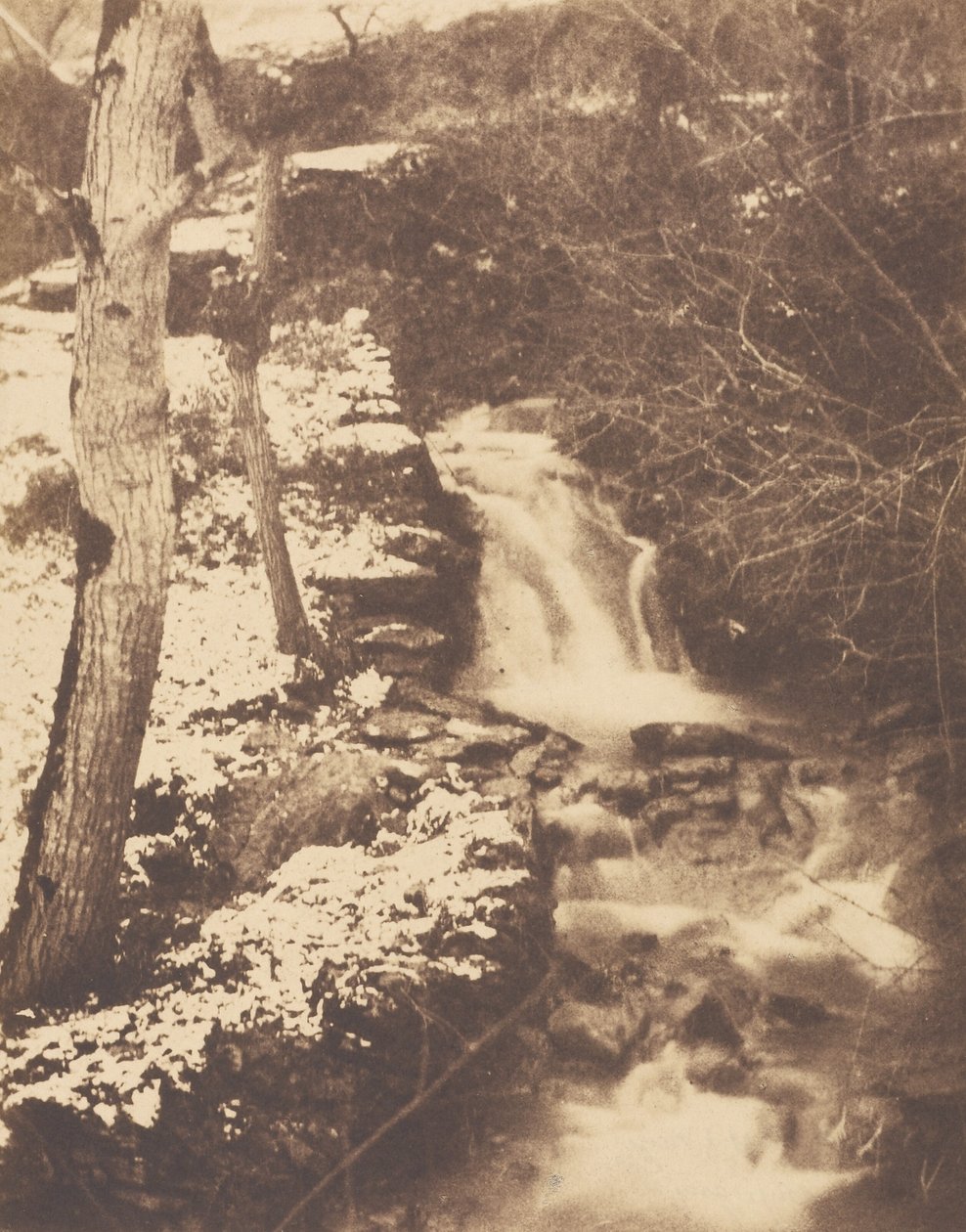 [Paysage d