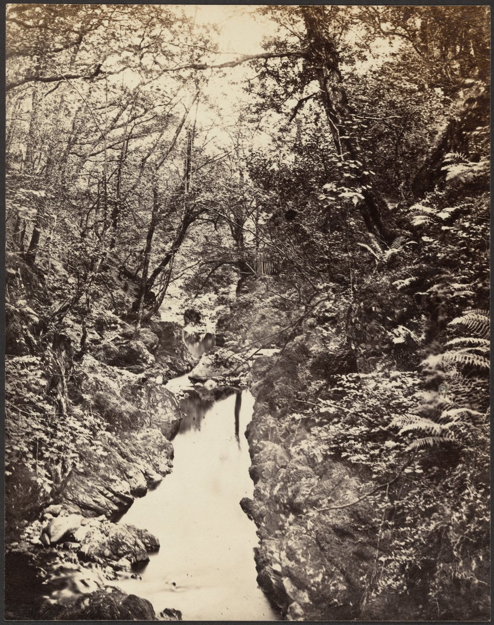 [Paysage boisé avec ruisseau] - Unknown artist