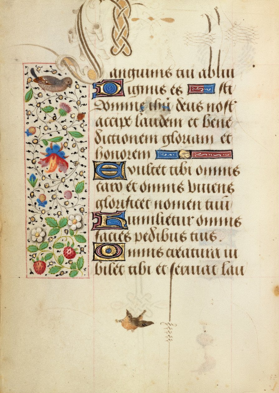 Page de texte décorée - Unknown artist/maker