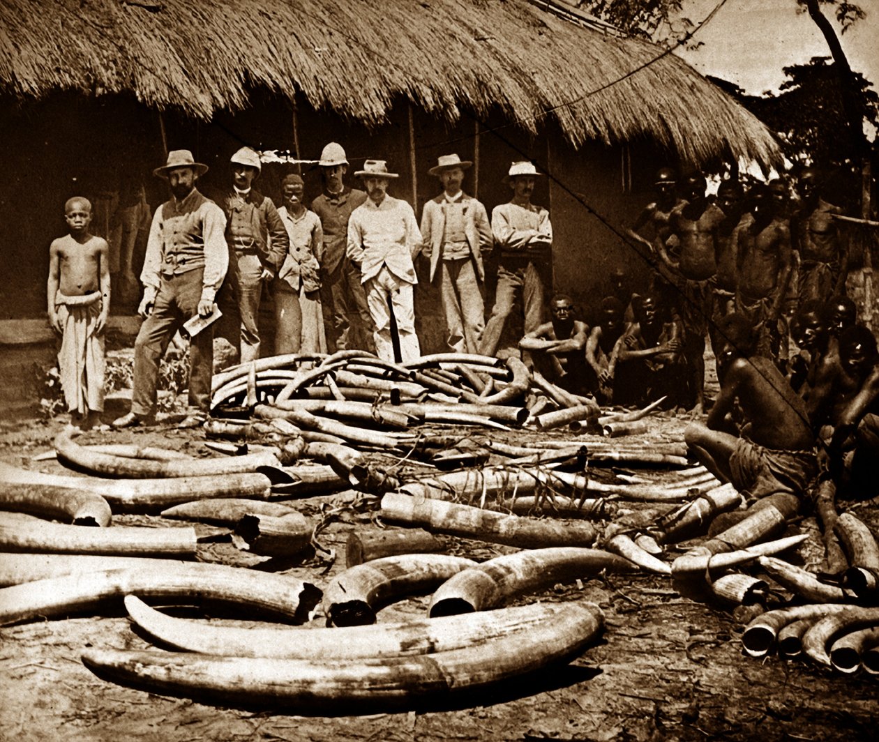 Chasse à l