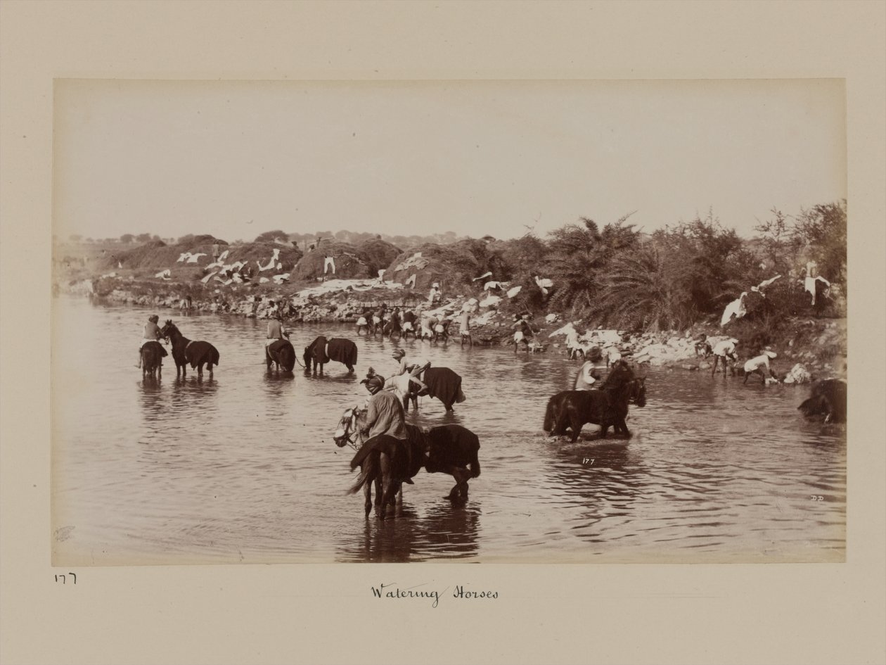Cavaliers indiens abreuvant leurs chevaux pendant le camp d