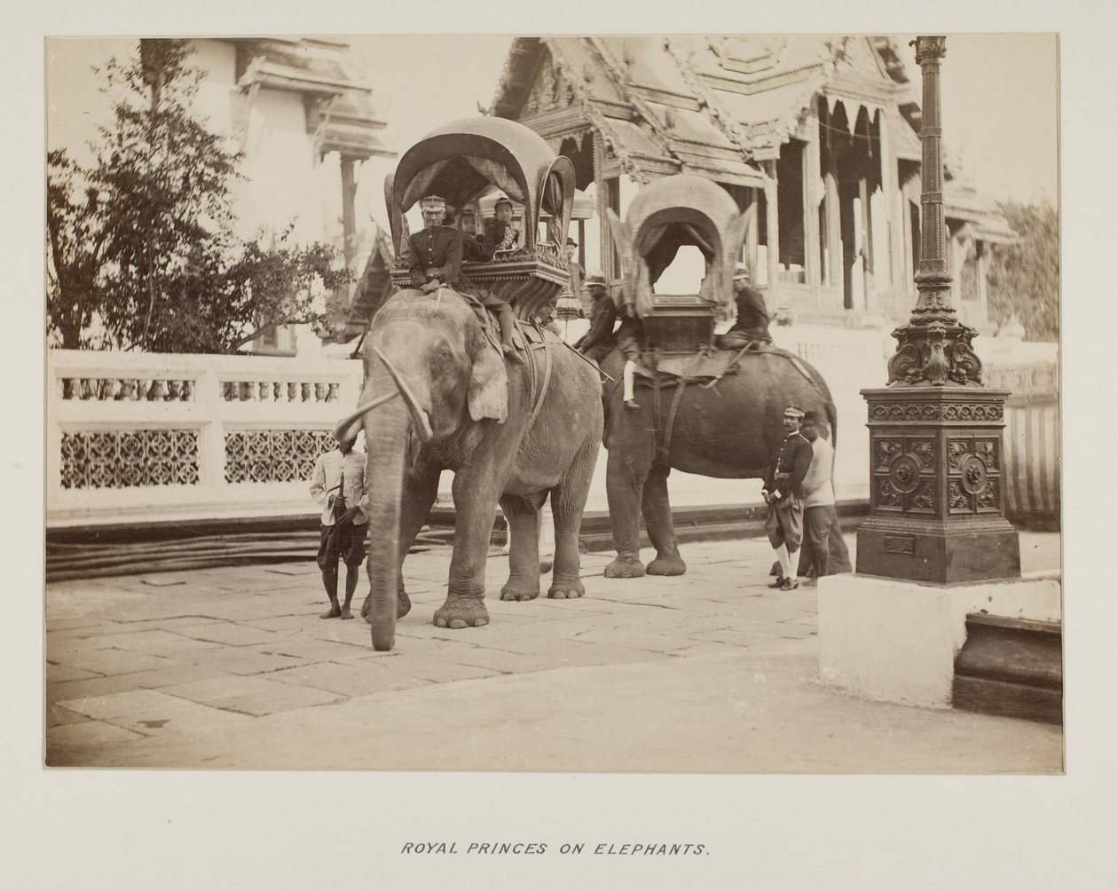 Photographie dans un album photo - Unknown photographer