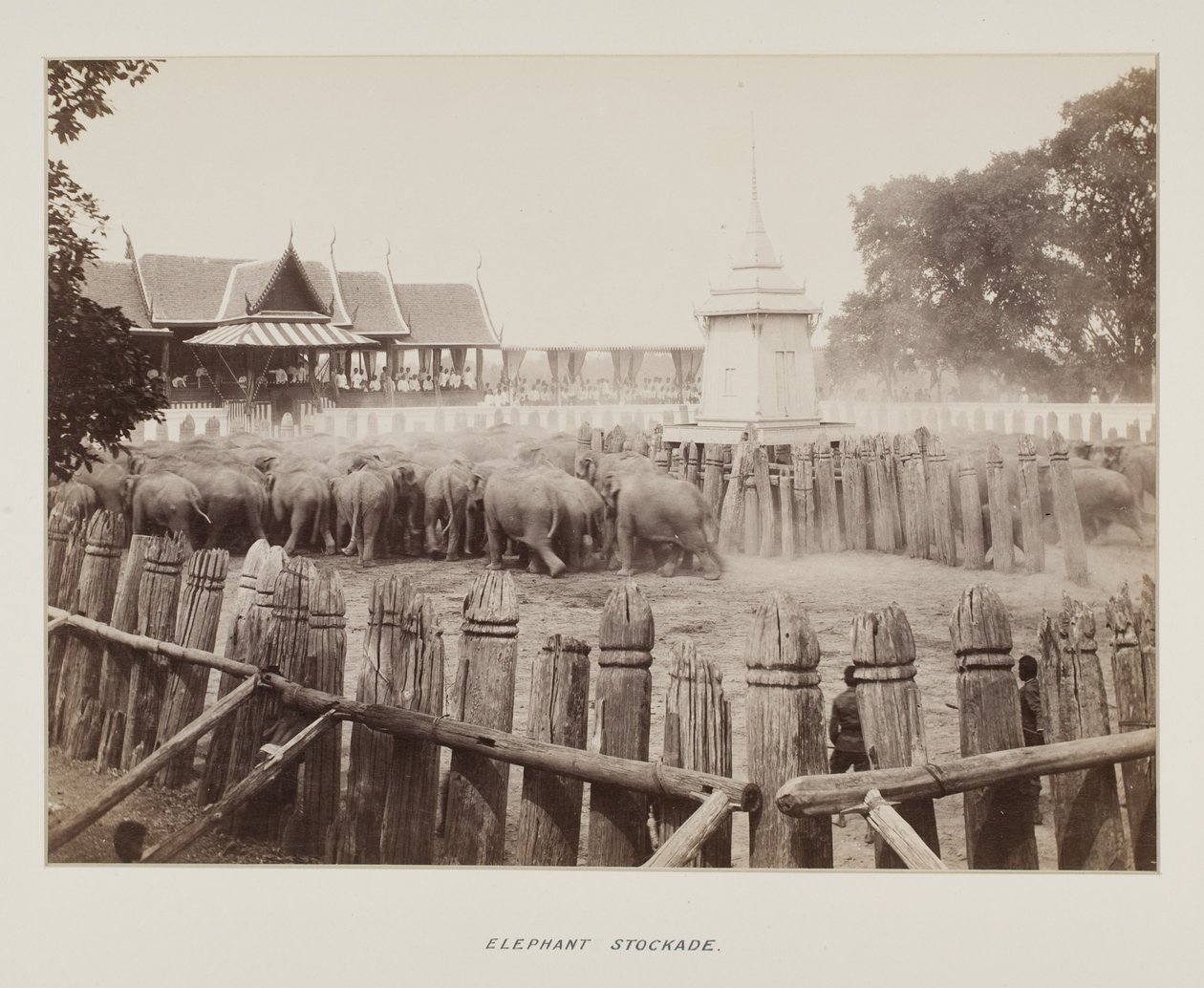 Photographie dans un album photo - Unknown photographer