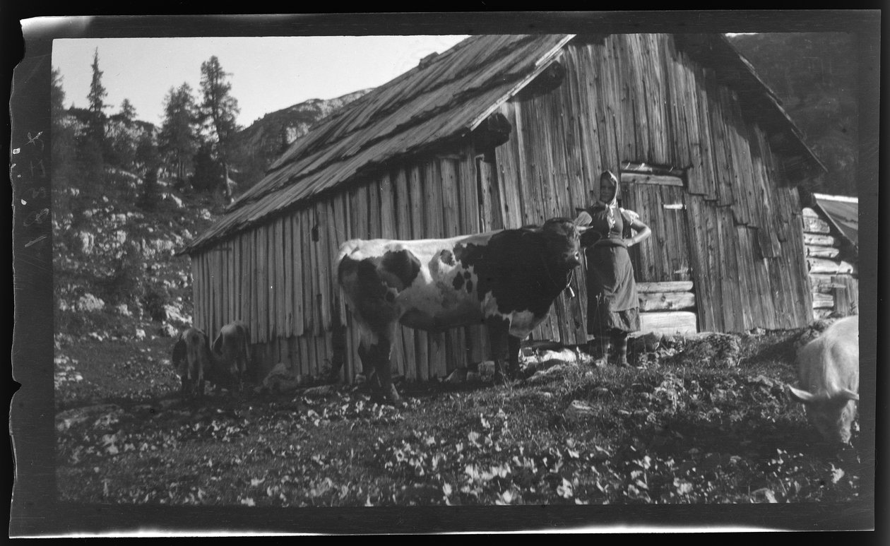 Vorderbachalm (pâturage de montagne) avec chalet alpin près de Goessl au lac Grundl - Unknown photographer