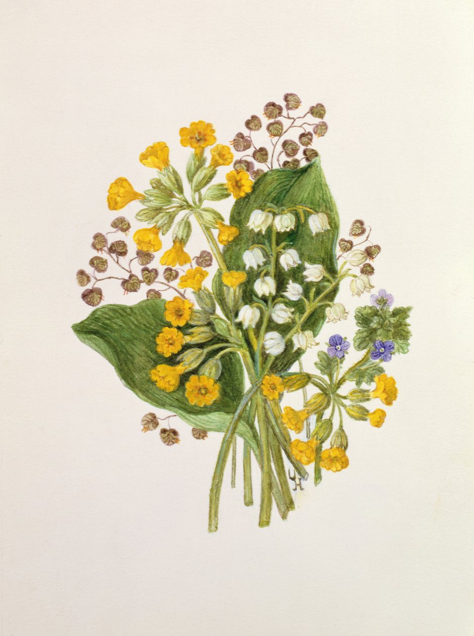 Muguet et primevères - Ursula Hodgson