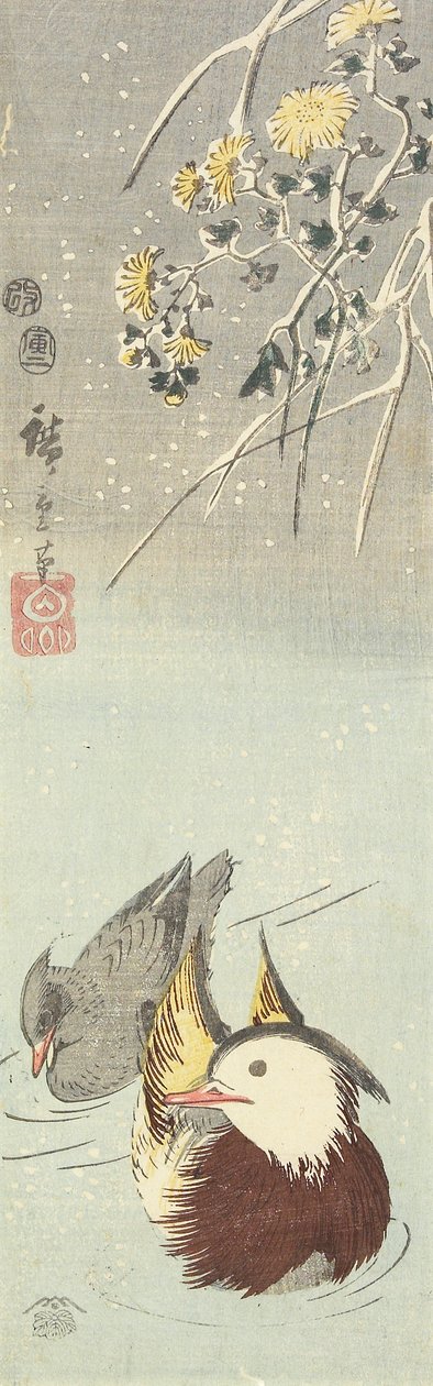 (Chrysanthème et canards mandarins), février 1854 - Utagawa Hiroshige