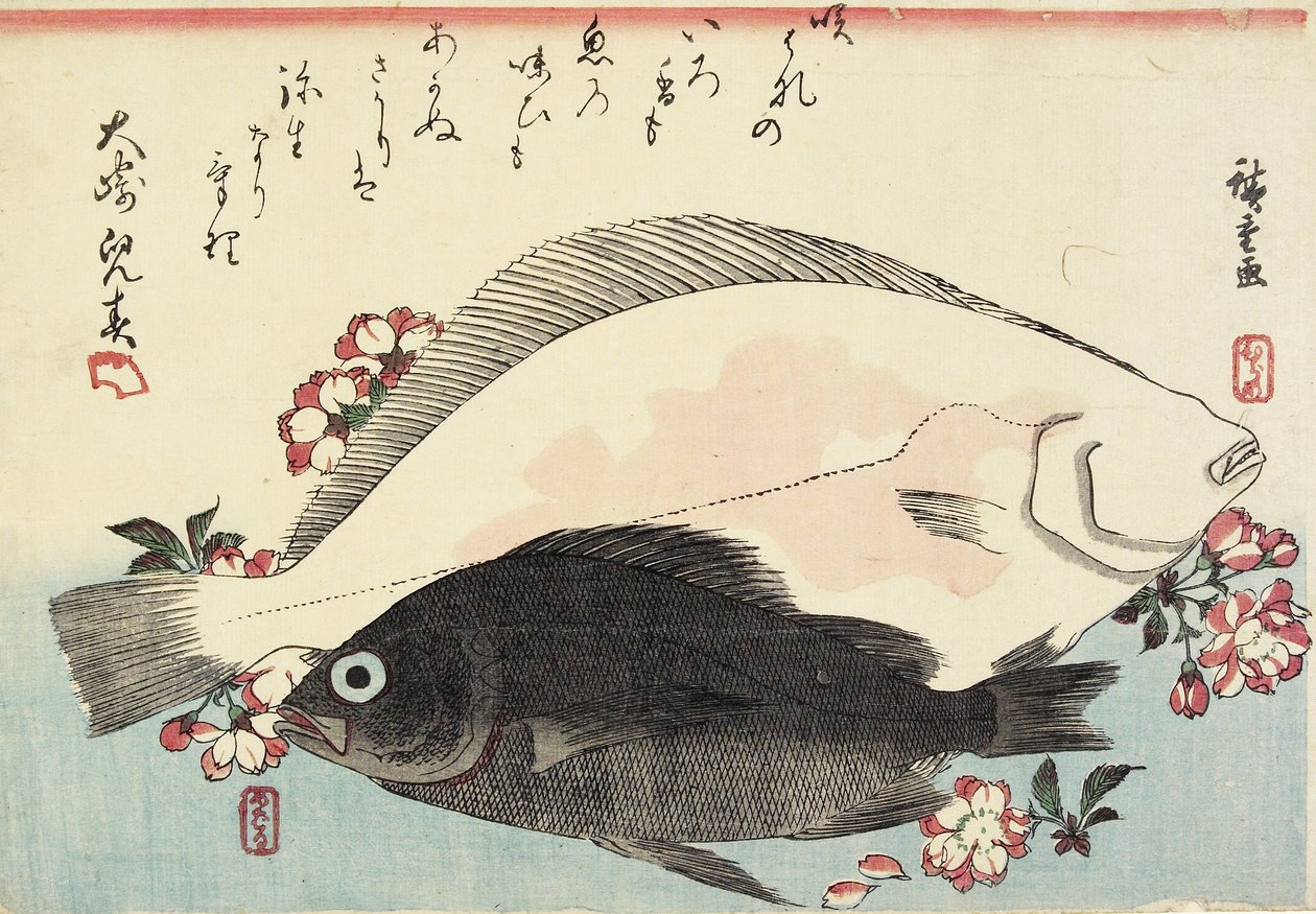 (Flétan et Bar Noir, Fleurs de Cerisier) - Utagawa Hiroshige