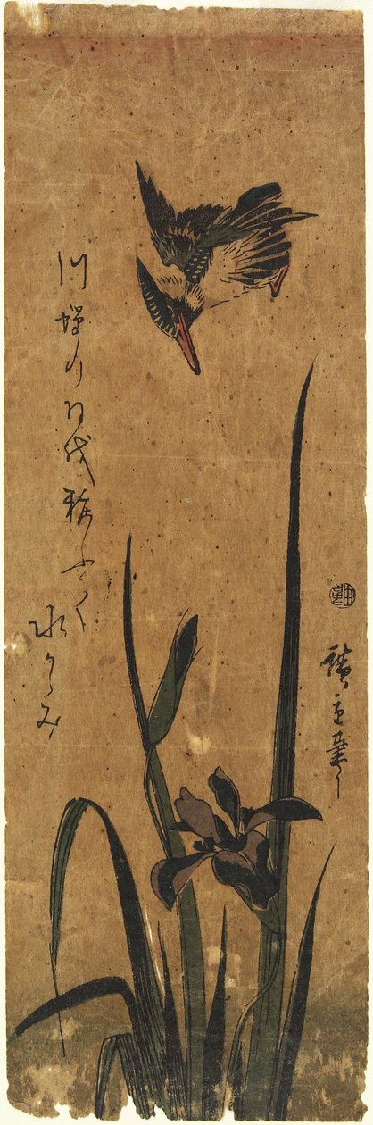 Iris et Martin-pêcheur, 1830-1858 - Utagawa Hiroshige