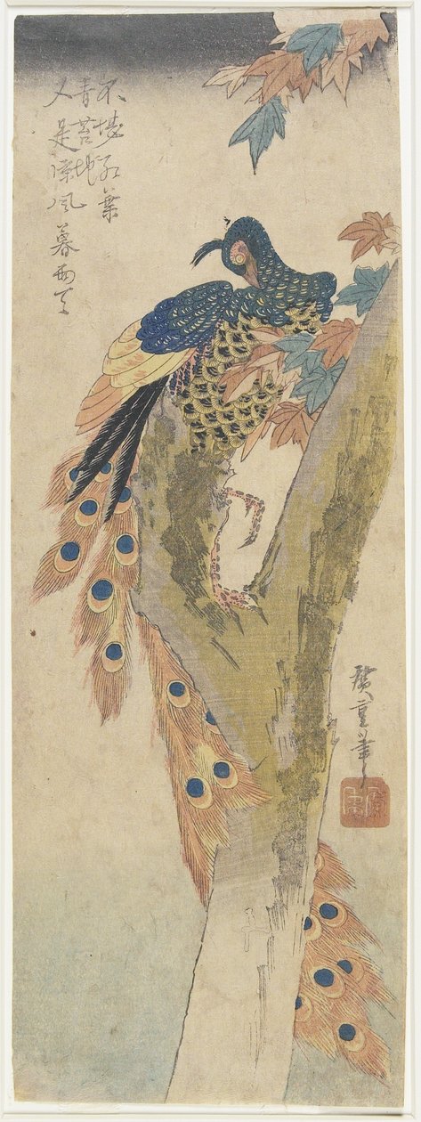 Paon sur un érable, début du 19e siècle - Utagawa Hiroshige