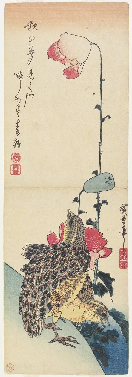 (Cailles et coquelicots), 1830-1858 - Utagawa Hiroshige