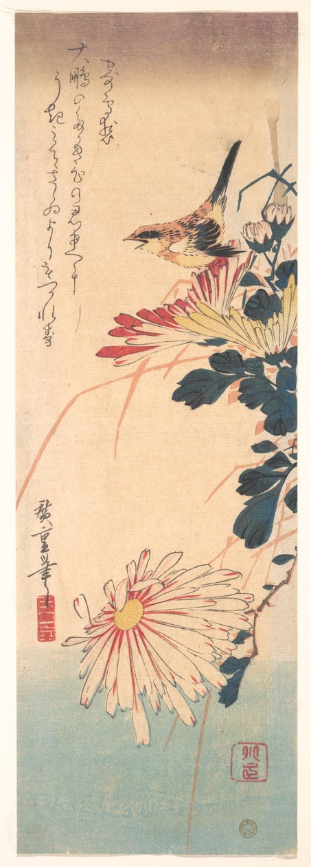 Ein Zaunkönig und Chrysanthemen - Utagawa Hiroshige