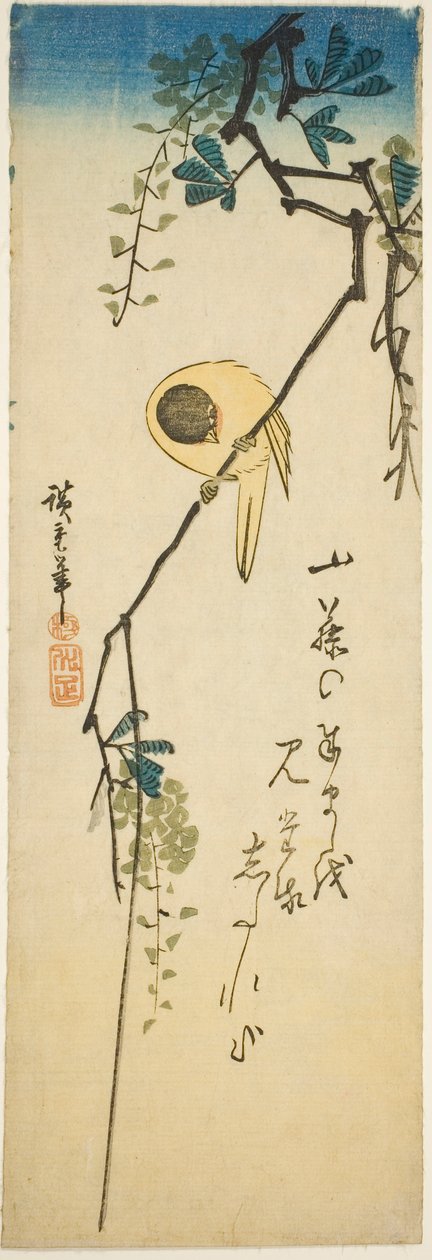 Oiseau sur Glycine Soyeuse - Utagawa Hiroshige