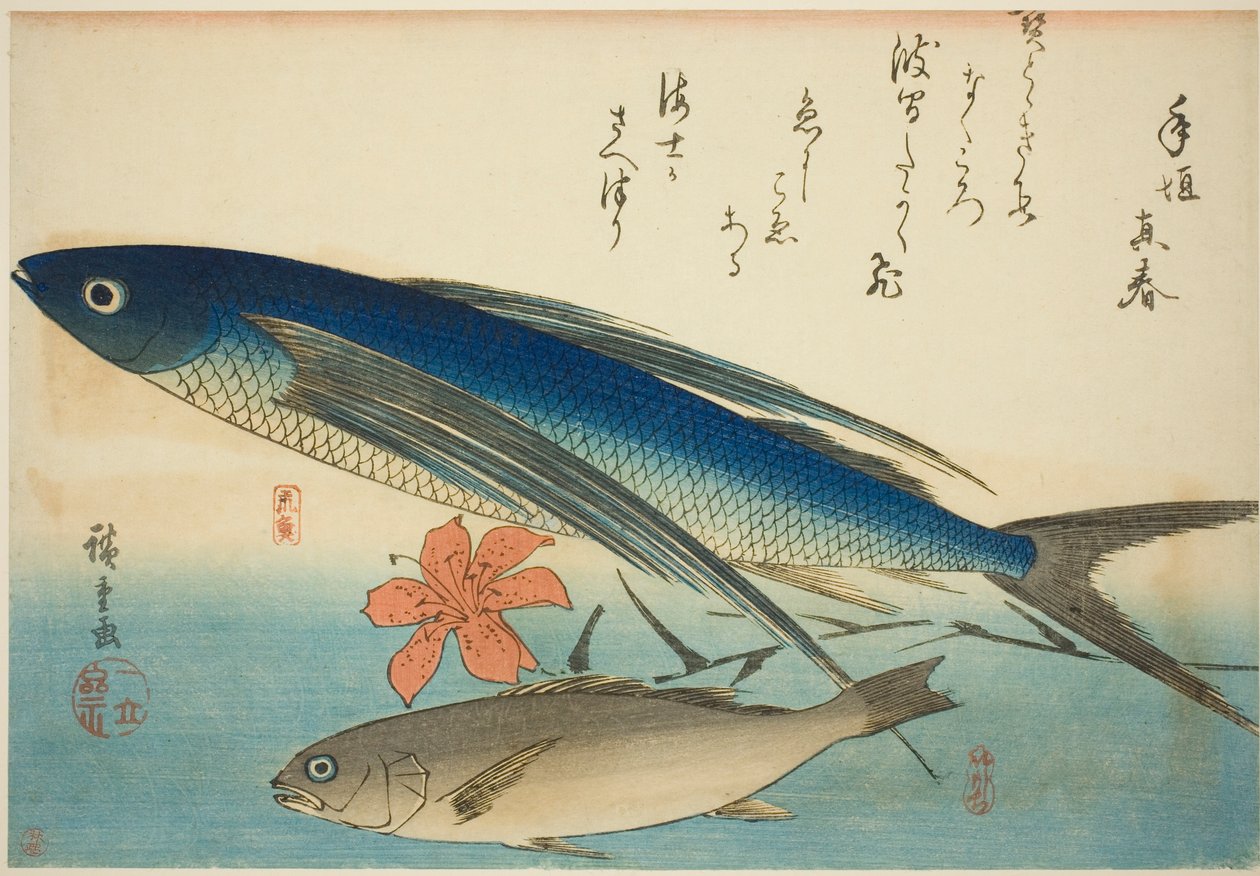 Poisson volant et Ichimochi, d