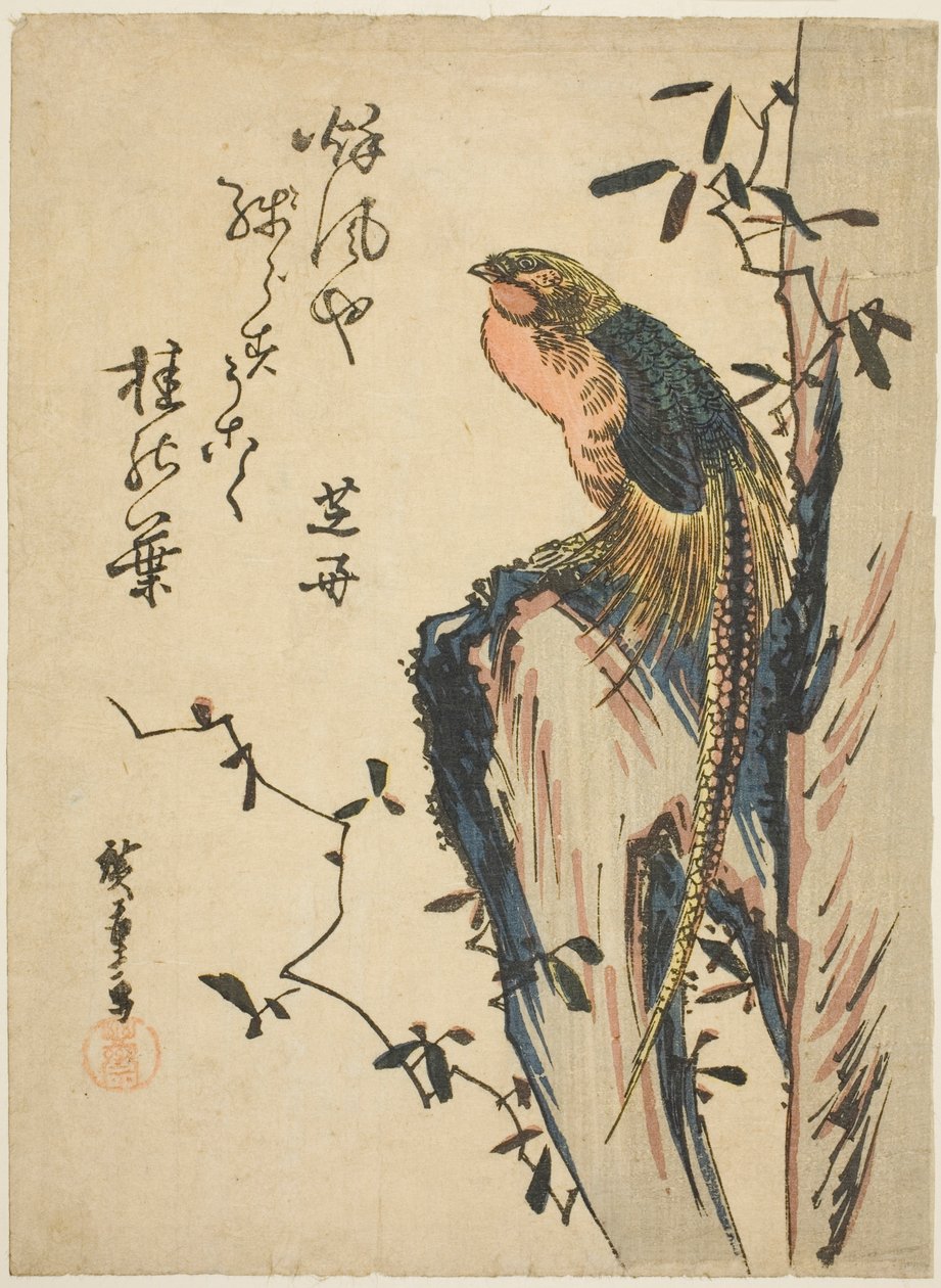 Faisan doré - Utagawa Hiroshige