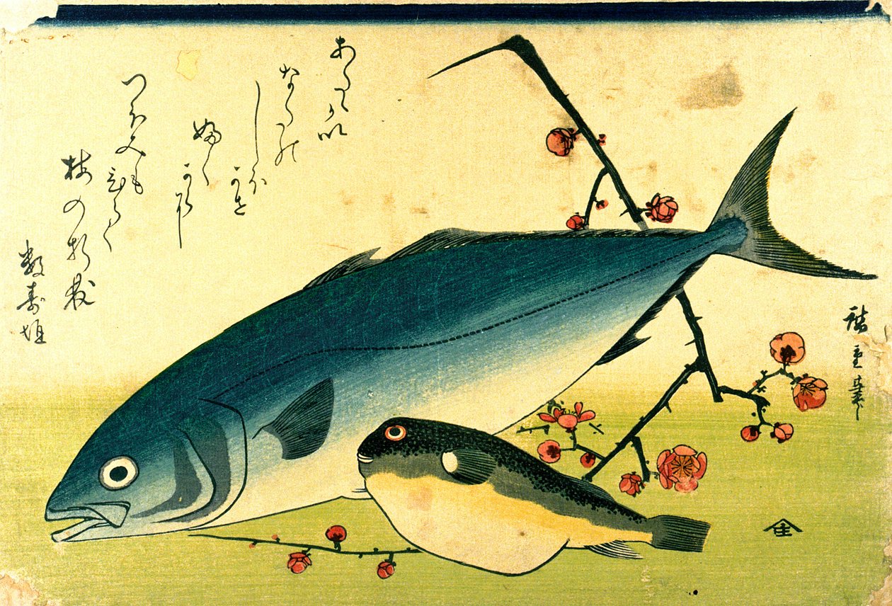 Hiroshige Un banc de poissons Fugu Yellowtail - Utagawa Hiroshige