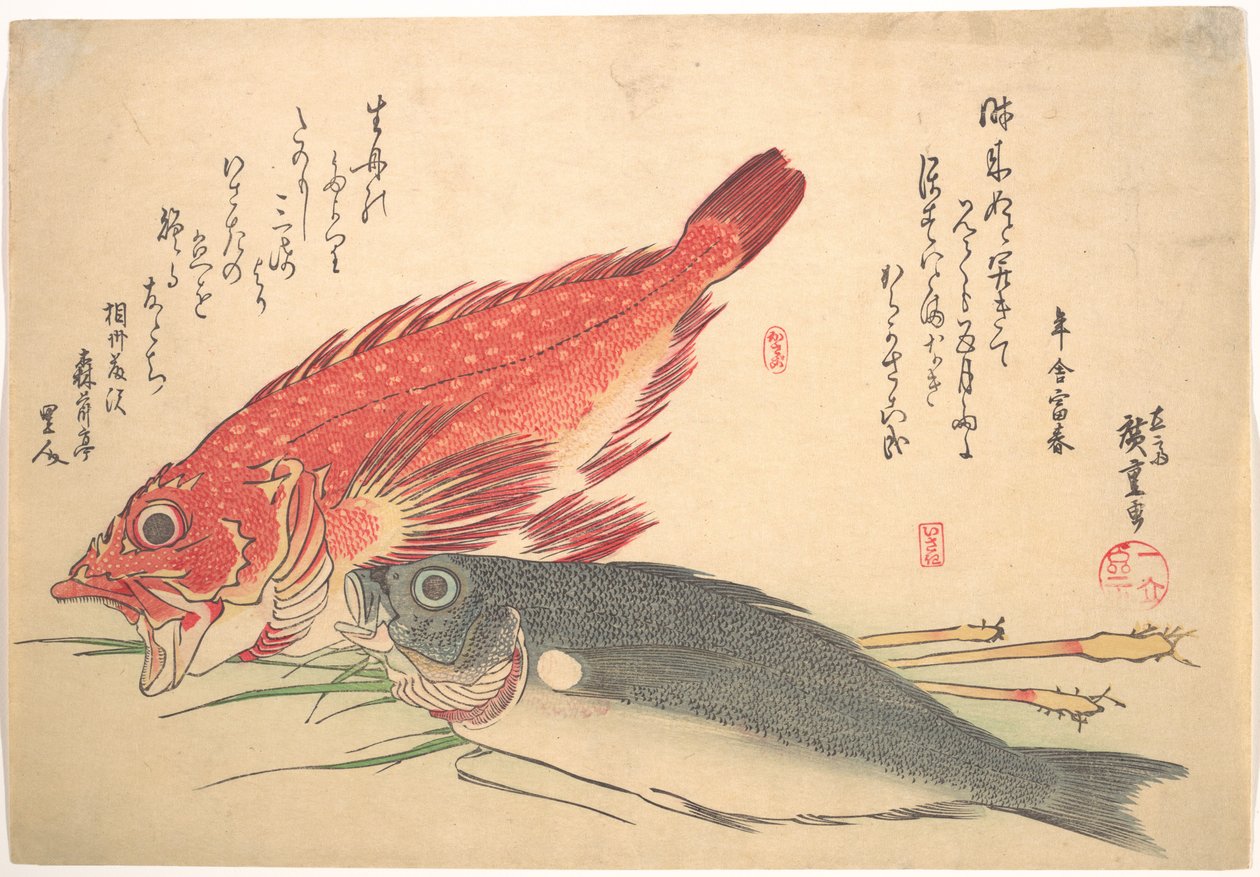 Poissons Isaki et Kasago, de la série Uozukushi (Toutes les variétés de poissons) - Utagawa Hiroshige
