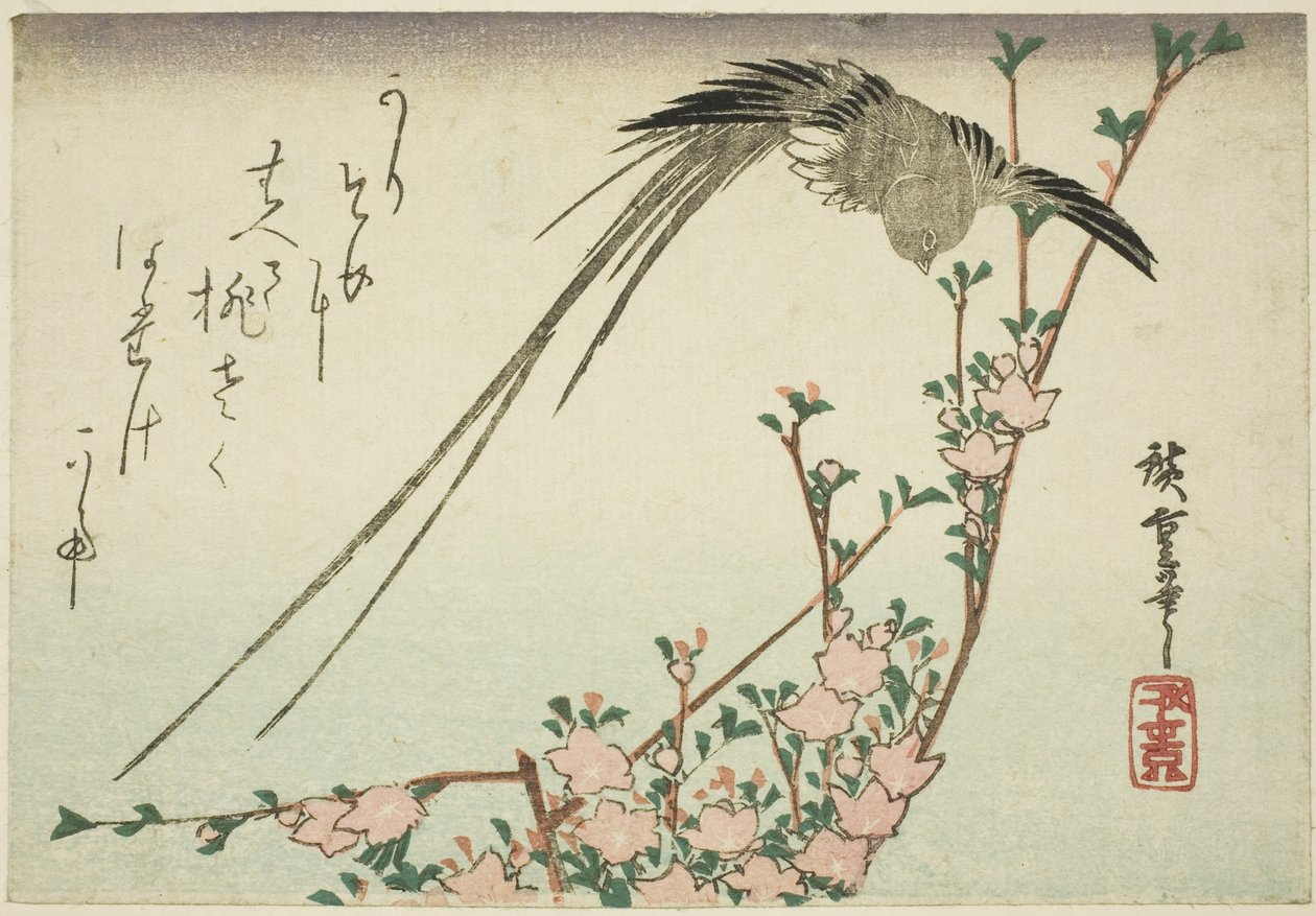 Oiseau à longue queue et fleurs de pêcher - Utagawa Hiroshige