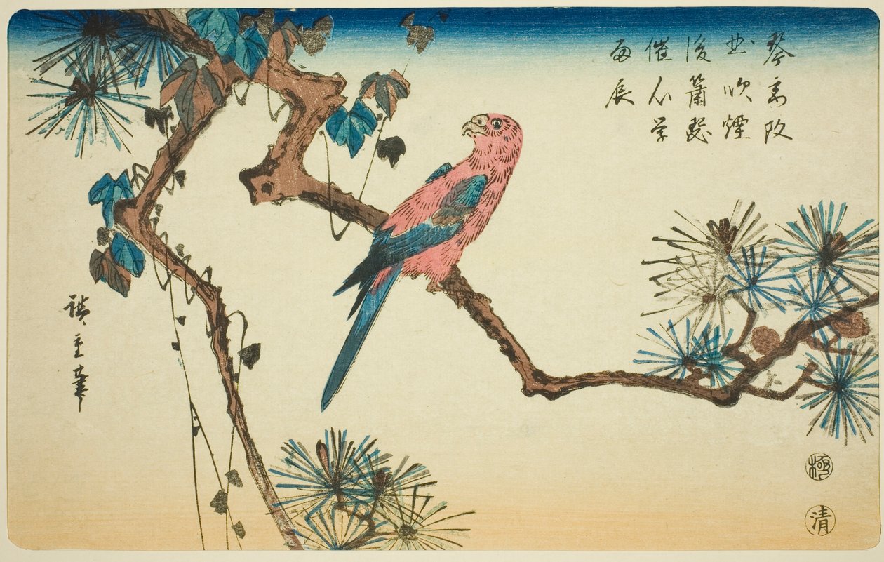 Ara sur une branche de pin - Utagawa Hiroshige
