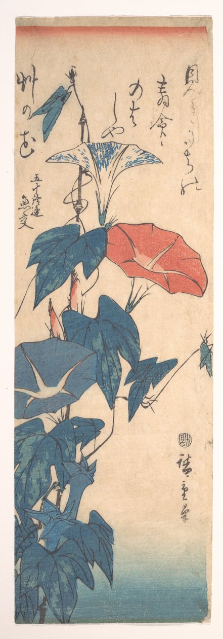 Prunkwinden - Utagawa Hiroshige
