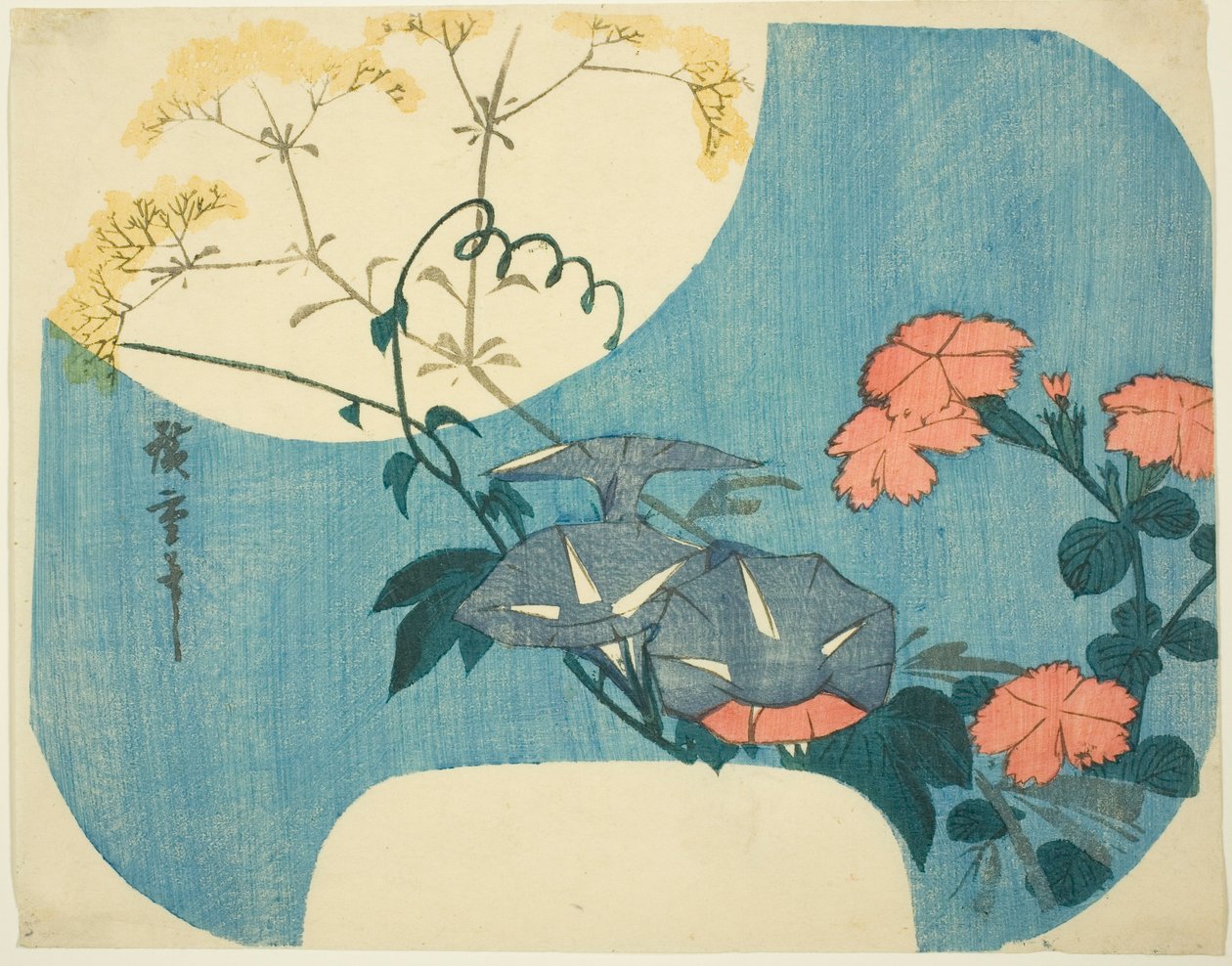 Gloires du matin, œillets et fleur de jeune fille, de la série "Sept fleurs d