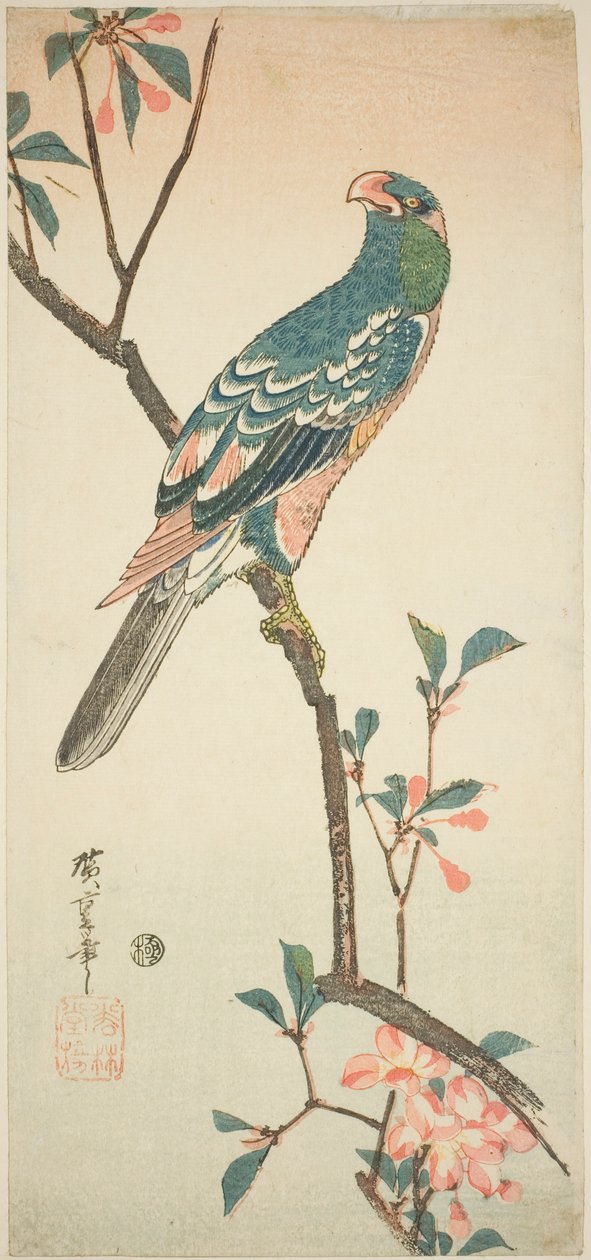 Perroquet sur une branche en fleurs - Utagawa Hiroshige