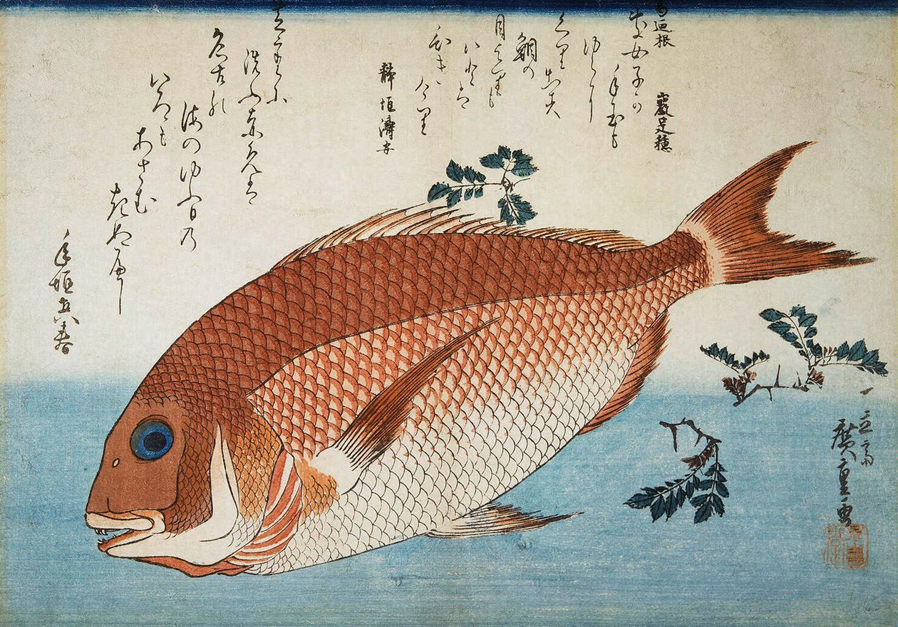 Dorade rose, 1832-1834 - Utagawa Hiroshige