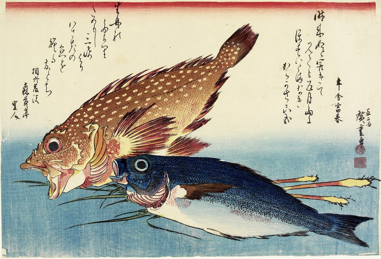 Rascasse, Grunt de poulet et pousses de gingembre, vers 1832 - Utagawa Hiroshige
