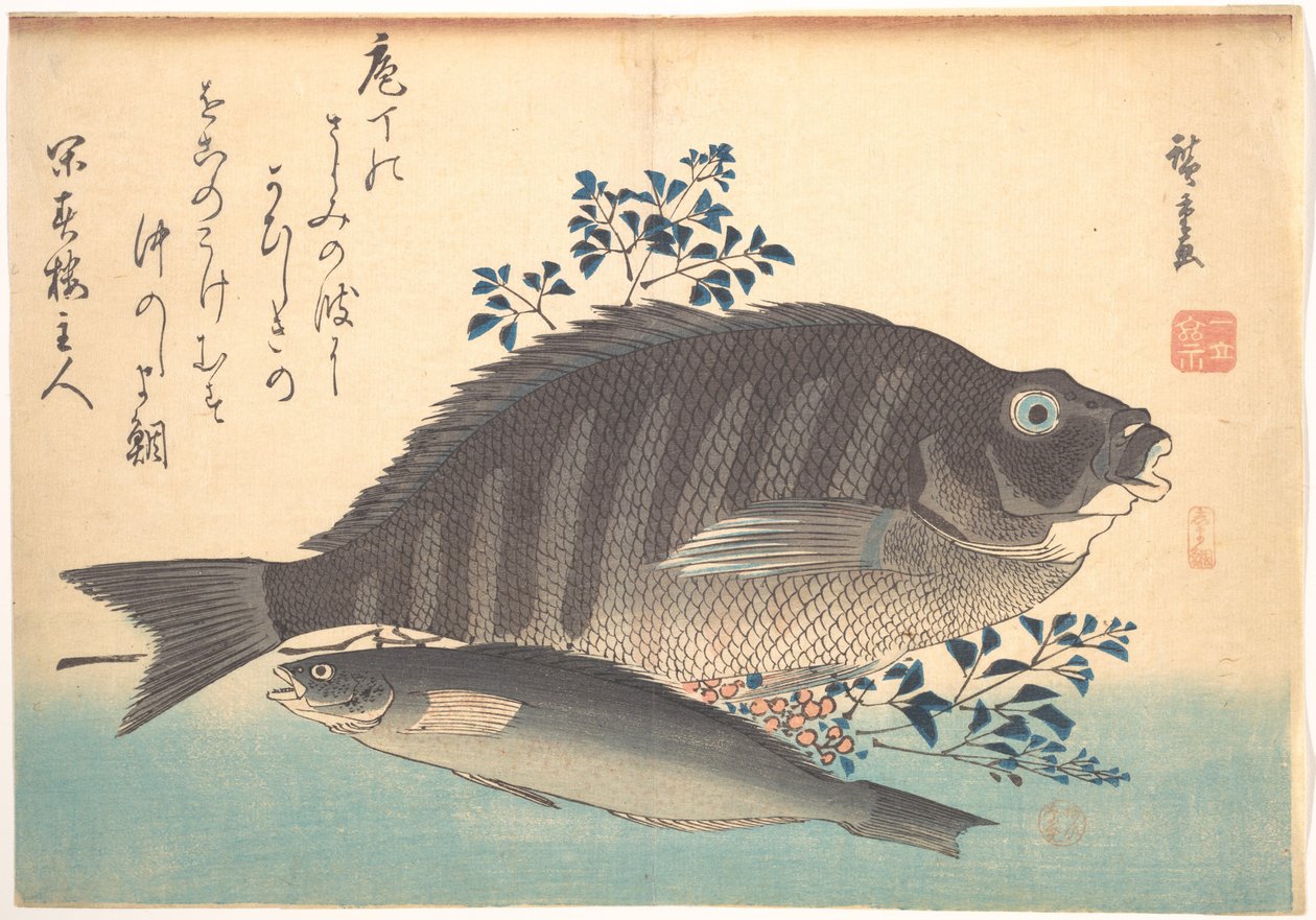 Poissons shimadai et ainame, de la série Uozukushi (Toutes les variétés de poissons) - Utagawa Hiroshige