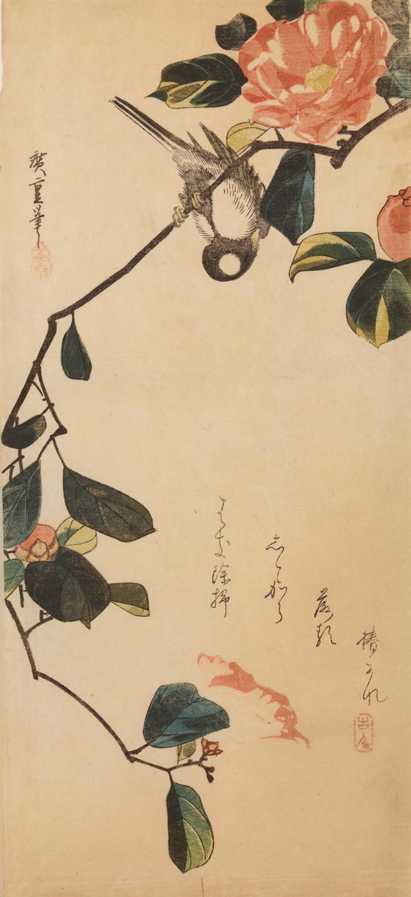Une mésange sur une branche de camélia en fleur / Tsubaki-ni shijukara - Utagawa Hiroshige