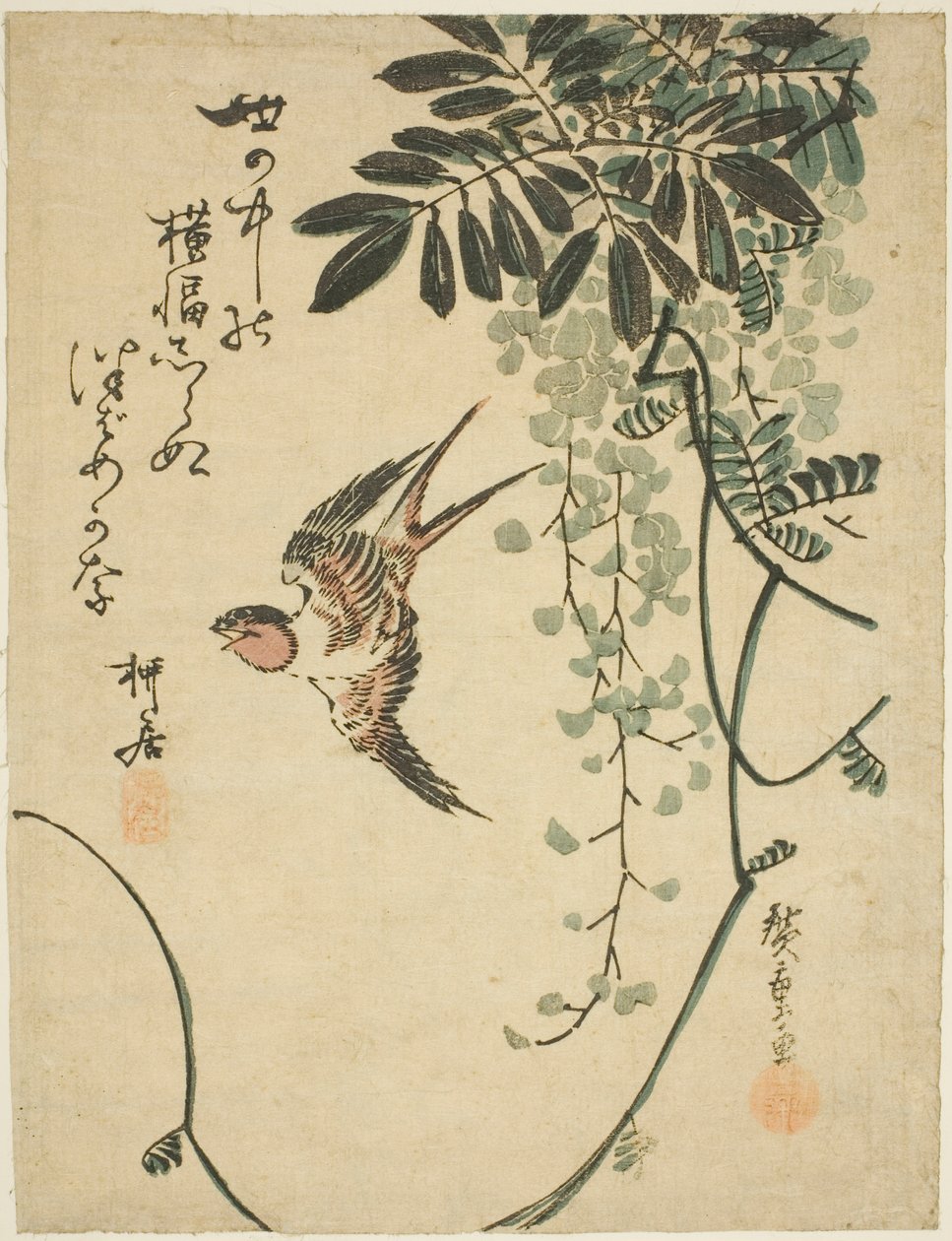 Hirondelle et glycine - Utagawa Hiroshige