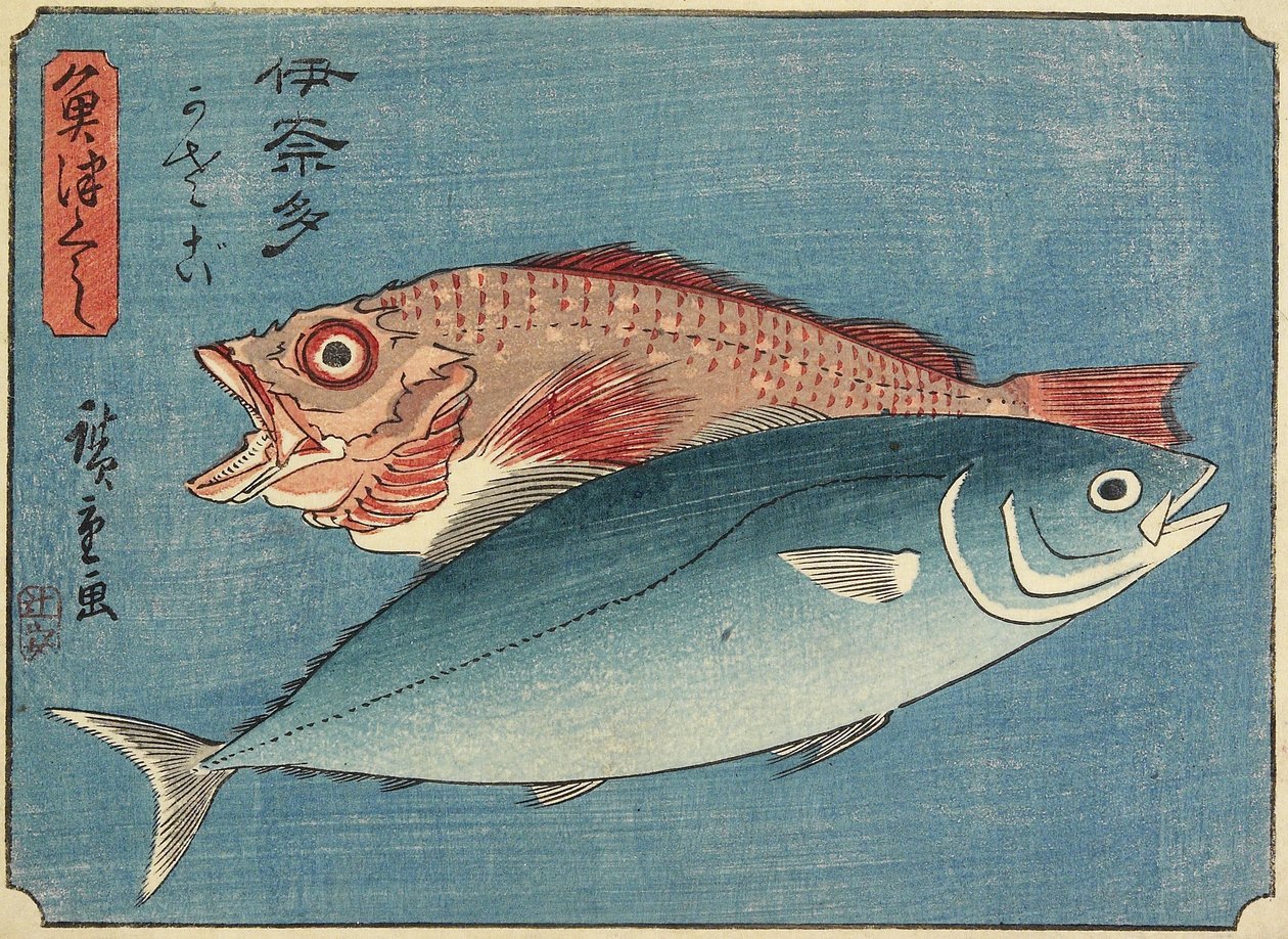 Sériole et poisson de roche - Utagawa Hiroshige