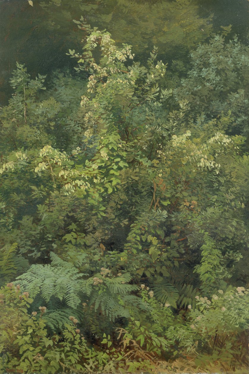 Houblon et fougères dans les bois, 1870 - Valentin Ruths