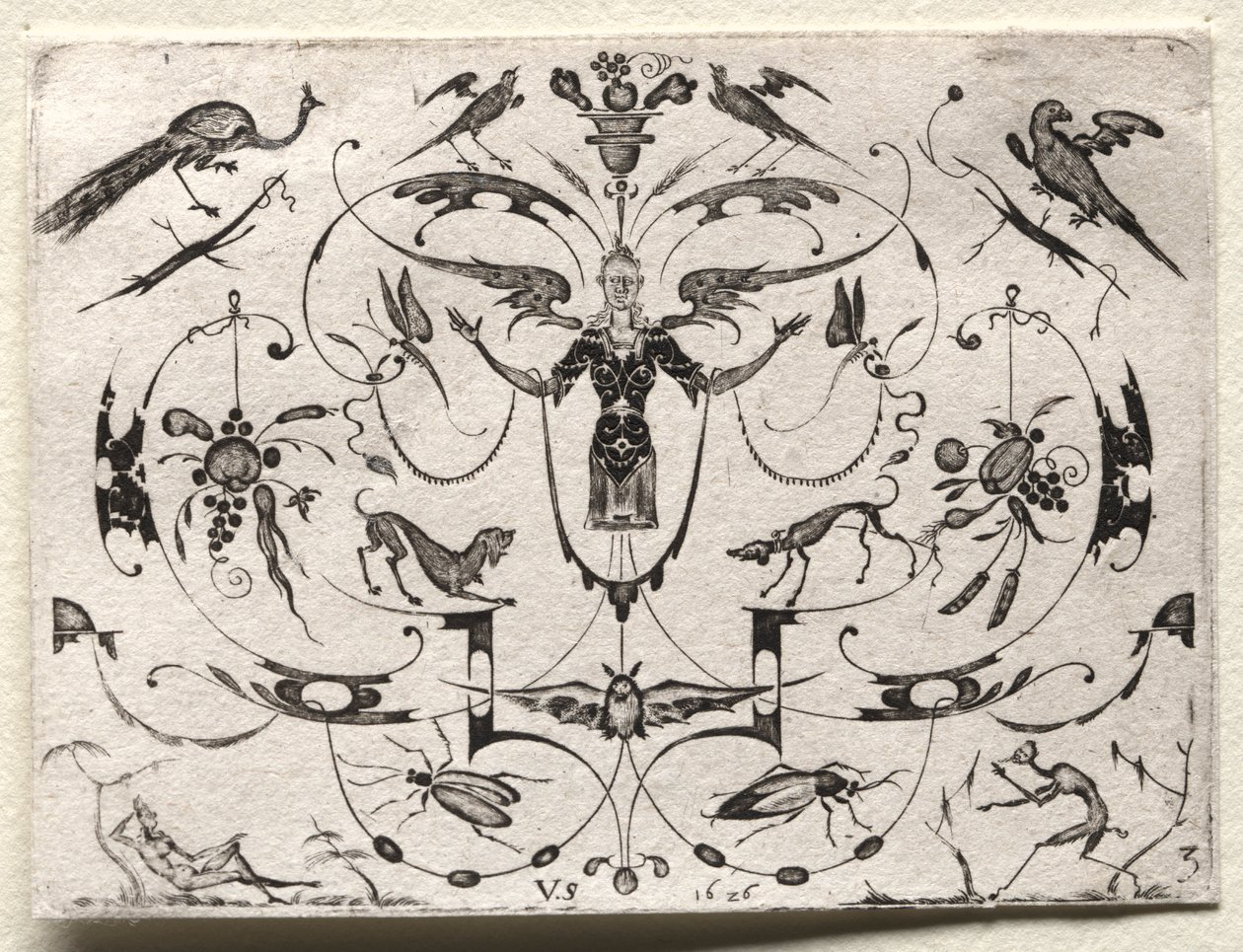 Arabesque avec paon, perruche, chiens et insectes - Valentin Sezenius
