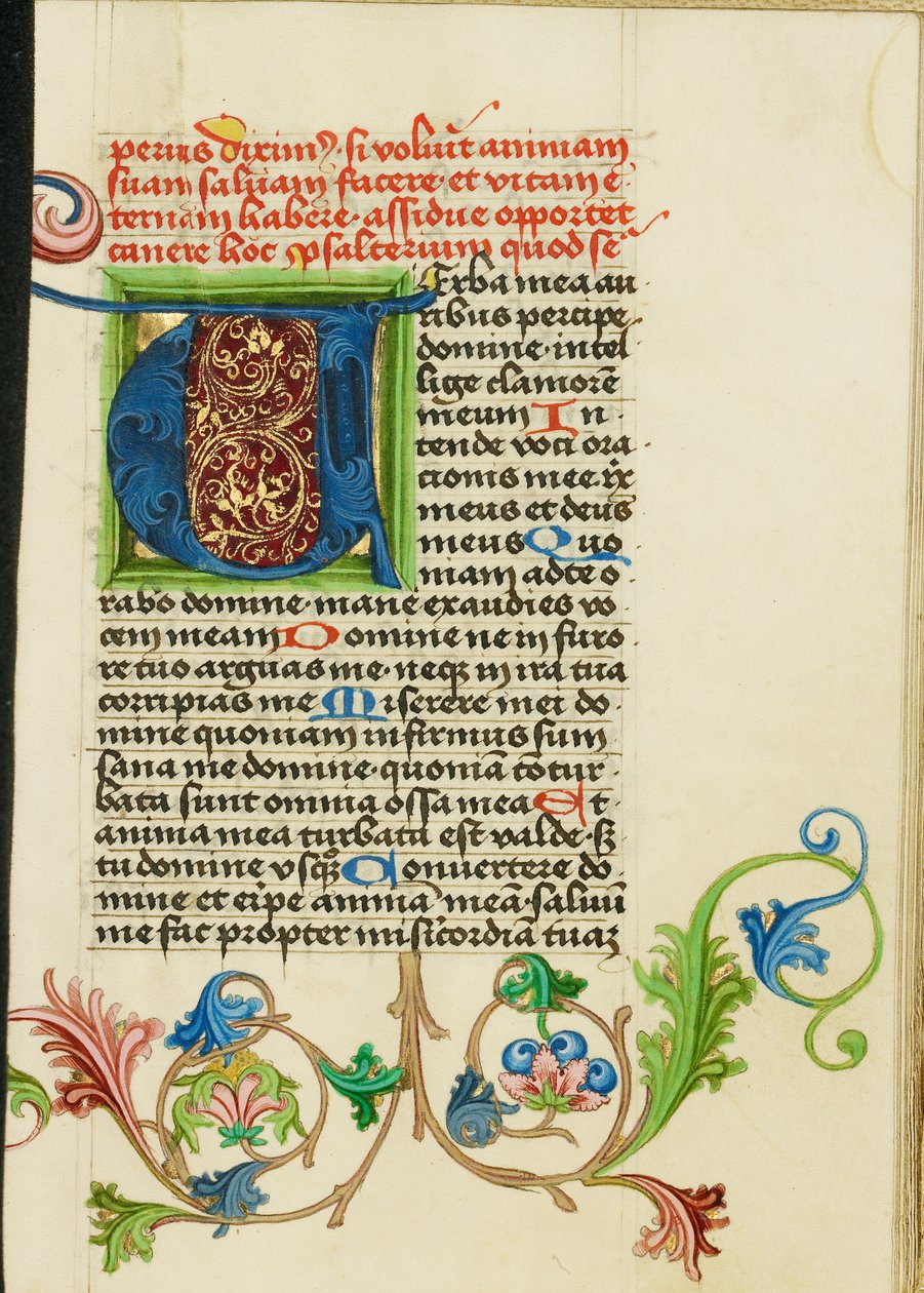Initiale V décorée - Valentine Noh