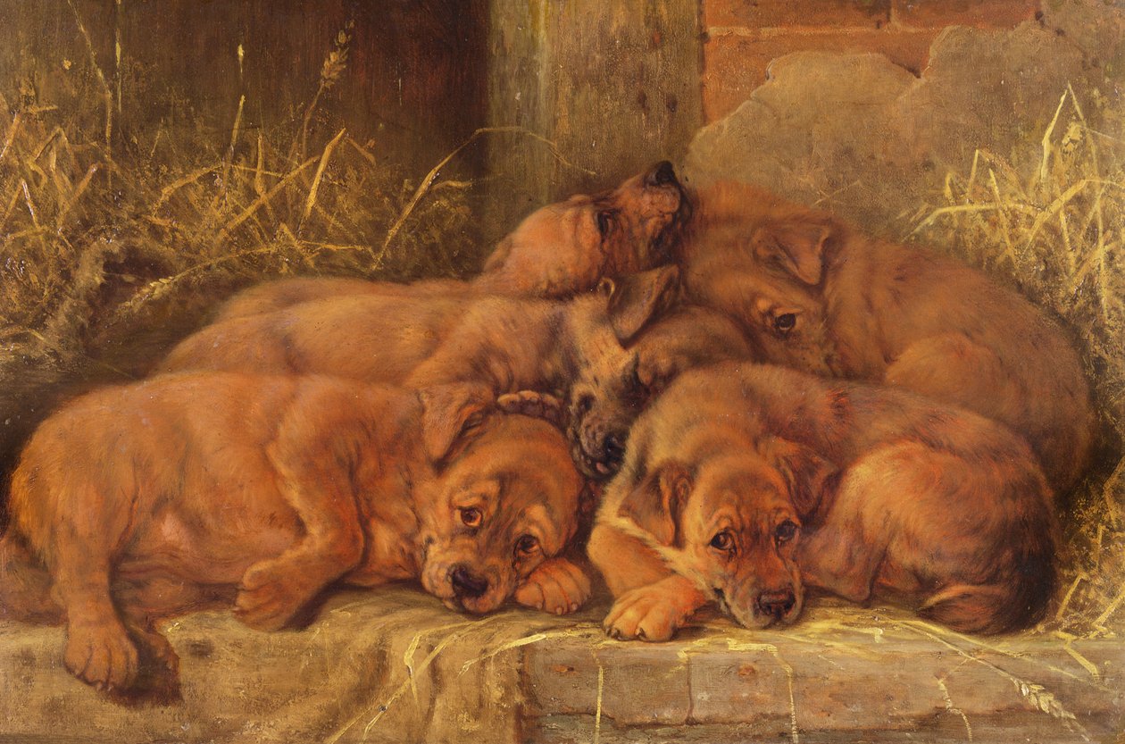 Amour de chiot - Valentine Thomas Garland