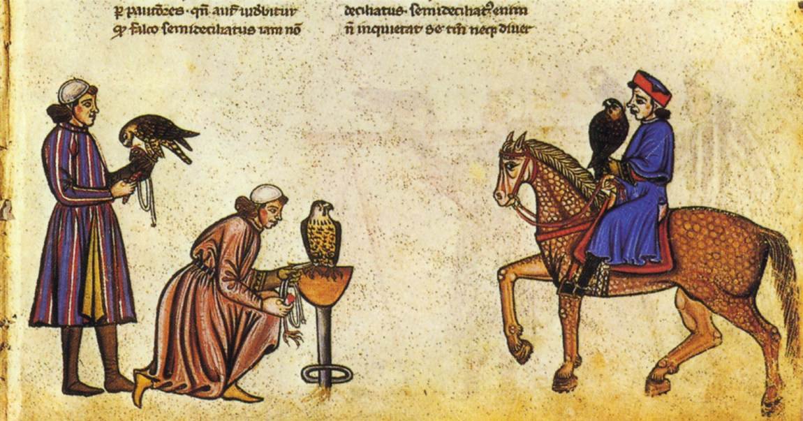 Livre de fauconnerie de Frédéric II - Vatican Library
