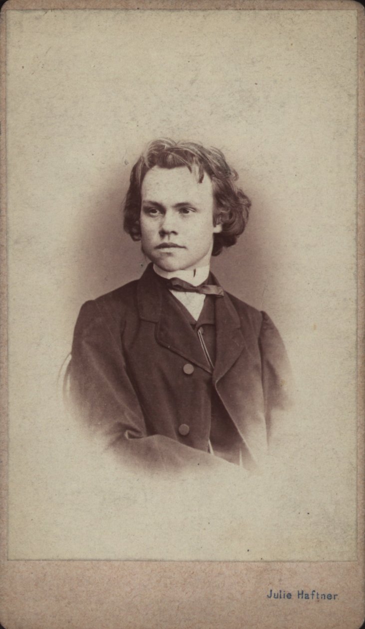 Portrait du compositeur Anton Rubinstein 1829-1894 - Vienna . Photo studio Julie Haftner