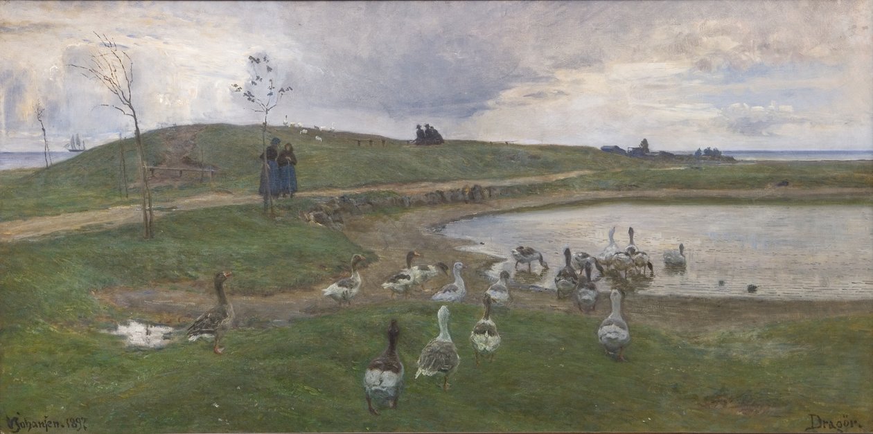 Oies près d